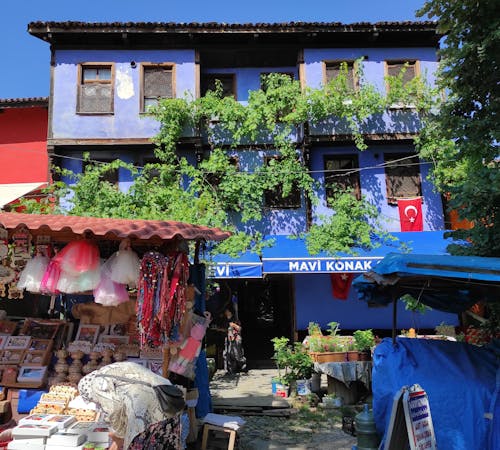 pexels-photo-27202398